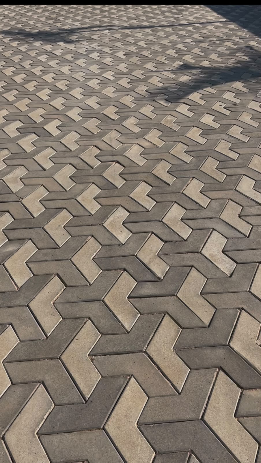 About Evans Paving